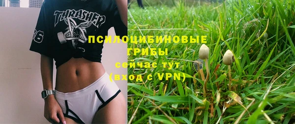 стаф Алексеевка