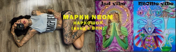 стаф Алексеевка