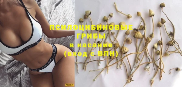 стаф Алексеевка